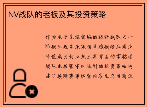 NV战队的老板及其投资策略