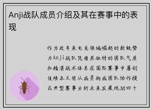 Anji战队成员介绍及其在赛事中的表现