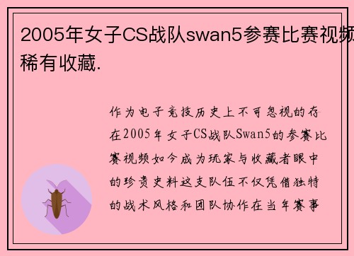 2005年女子CS战队swan5参赛比赛视频稀有收藏.
